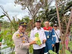 Dukung Pertanian Berkelanjutan, Pertamina Hulu Kalimantan Timur Panen Raya Melon Golden