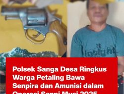 Seorang Lansia ditangkap polsek sanga desa ,Miliki senpira dan amunisi aktif
