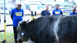 Pertamina Drilling Tebar 23 Hewan Kurban, Wujud Nyata Kepedulian untuk Masyarakat 