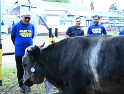 Pertamina Drilling Tebar 23 Hewan Kurban, Wujud Nyata Kepedulian untuk Masyarakat 