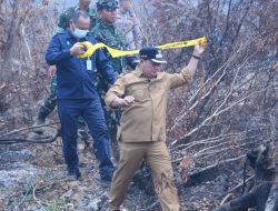 Dua Lahan Karhutla di Banyuasin Disegel, Pemilik Terancam Sanksi